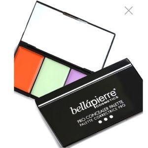 NEW Pro concealer pallet